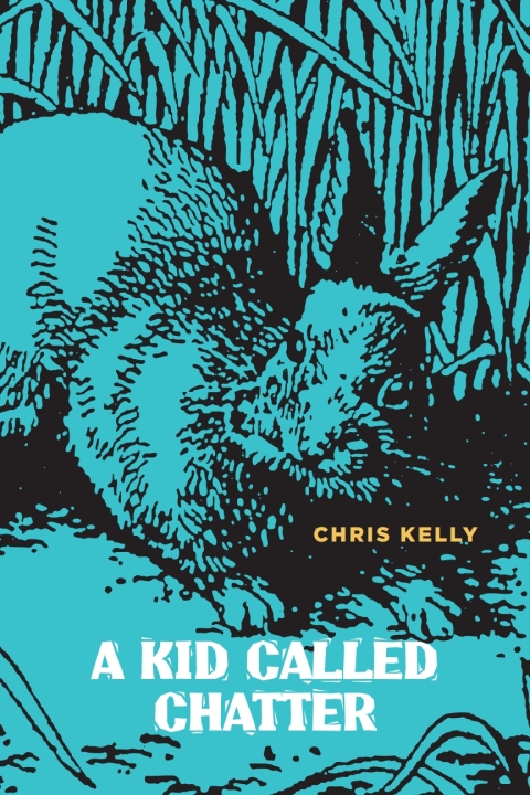 Cover image for book A Kid Called Chatter