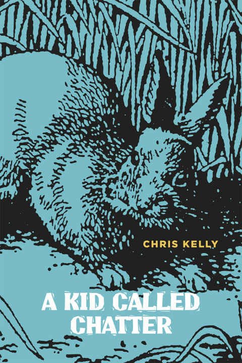 Cover image for book A Kid Called Chatter