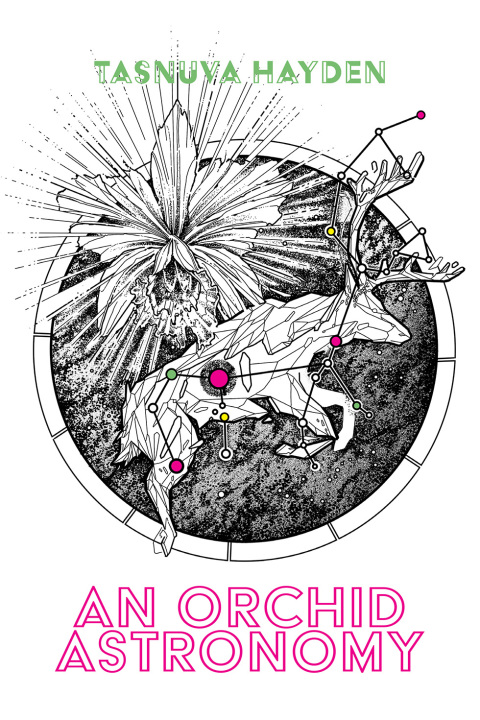 Cover image for book An Orchid Astronomy