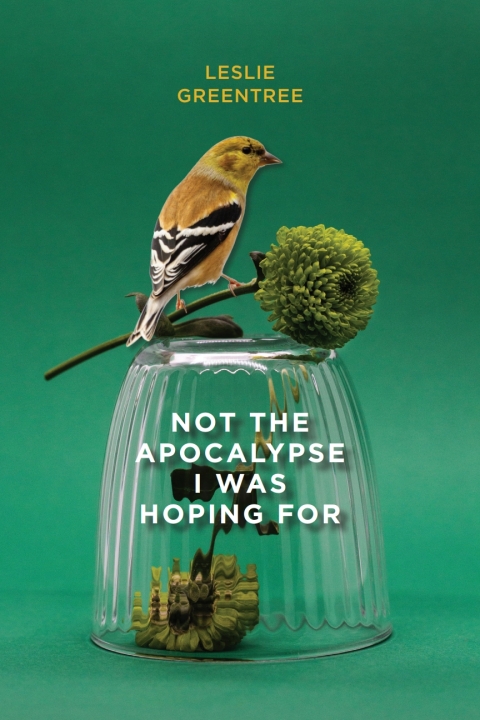 Cover image for book Not the Apocalypse I Was Hoping For
