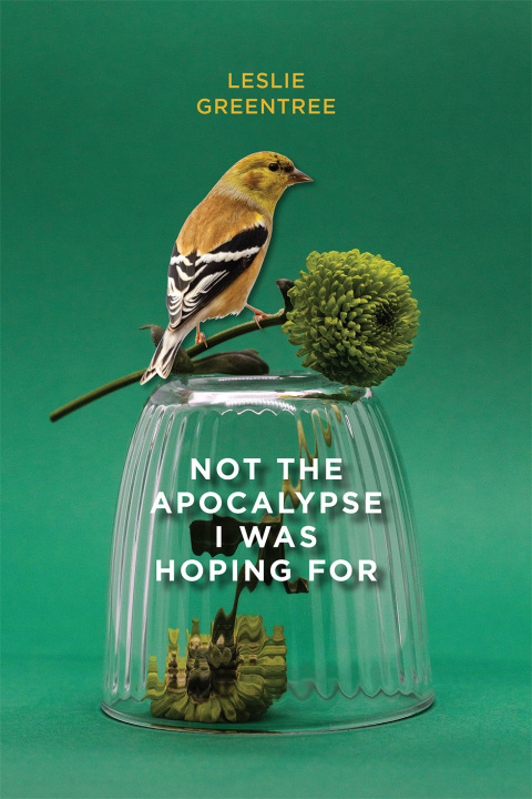 Cover image for book Not the Apocalypse I Was Hoping For
