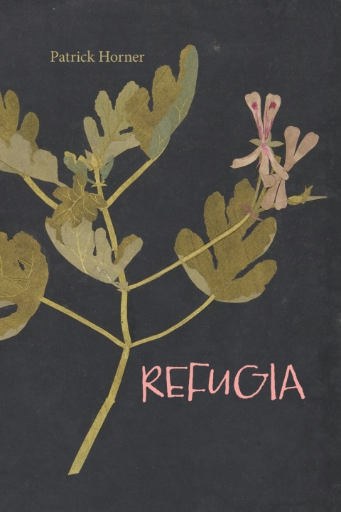 Cover image for book Refugia