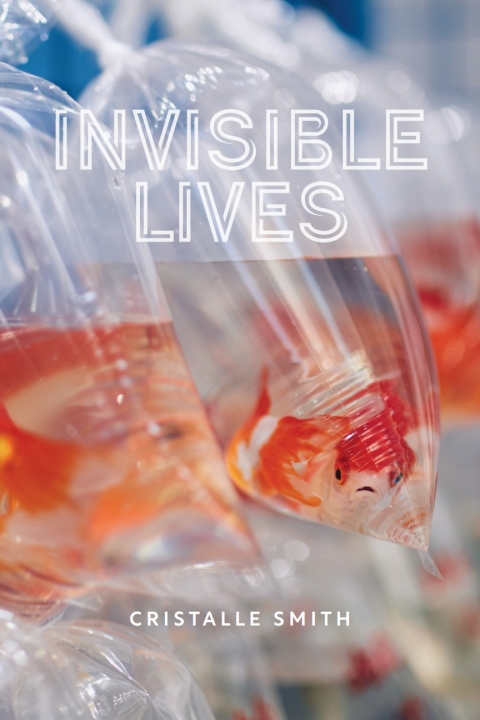 Cover image for book Invisible Lives