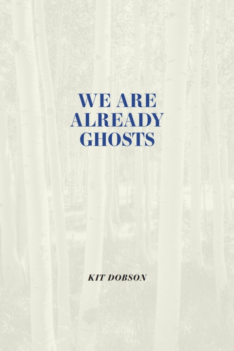 Cover image for book We are Already Ghosts