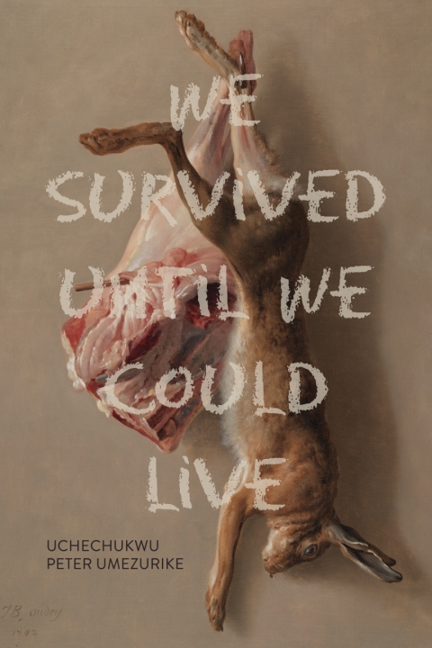Cover image for book We Survived Until We Could Live