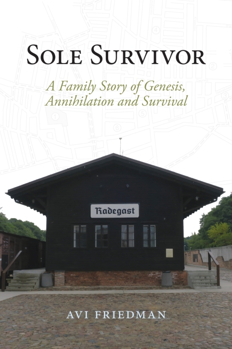 Cover image for book Sole Survivor