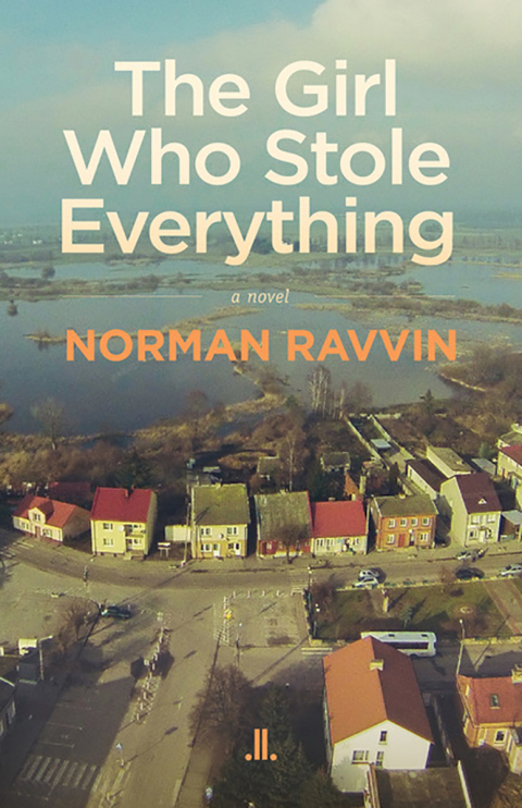 Cover image for book Girl Who Stole Everything, The