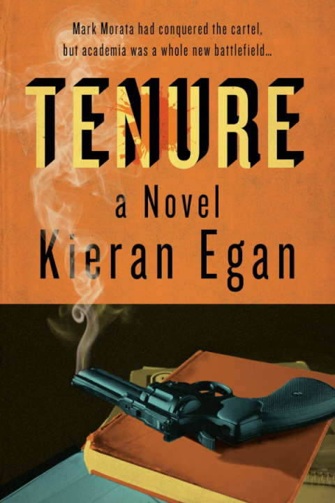 Cover image for book Tenure