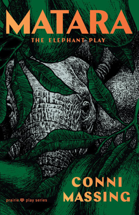 Cover image for book Matara