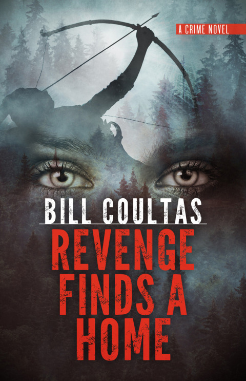 Cover image for book Revenge Finds a Home