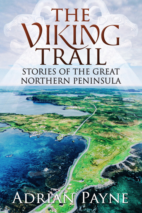 Cover image for book The Viking Trail