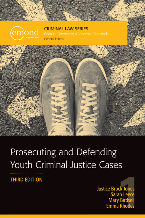 Cover image for book Prosecuting and Defending Youth Criminal Justice Cases