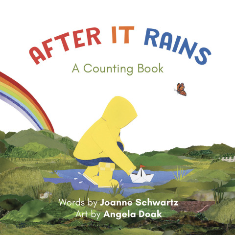 Cover image for book After It Rains