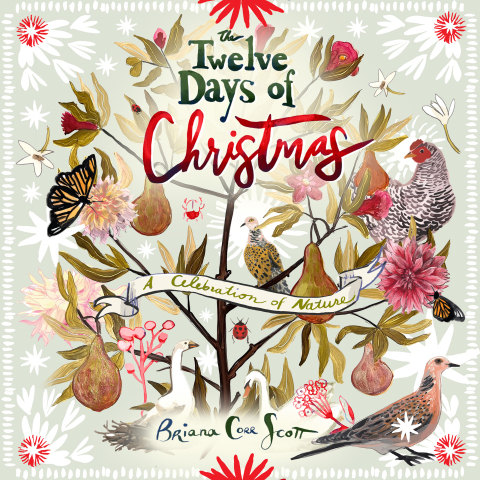 Cover image for book The Twelve Days of Christmas