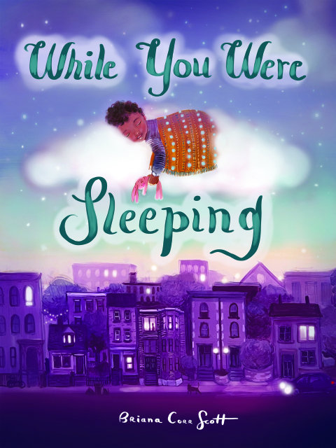 Cover image for book While You Were Sleeping