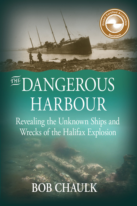 Cover image for book The Dangerous Harbour