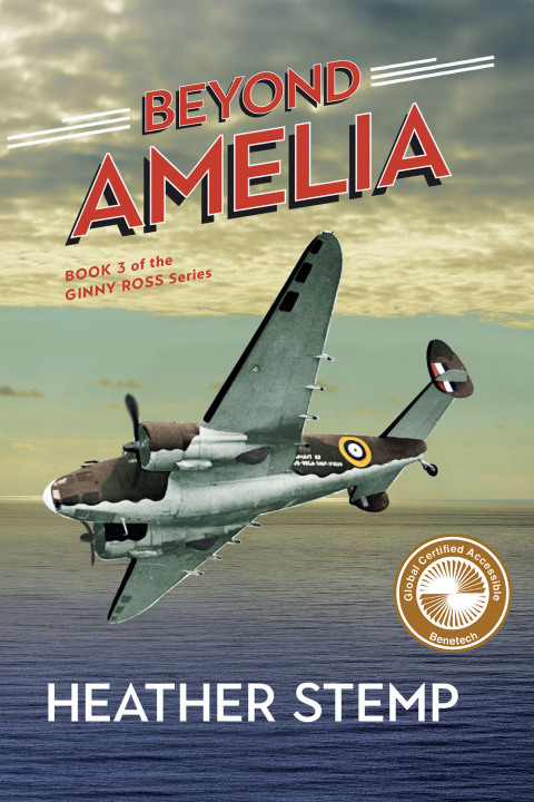 Cover image for book Beyond Amelia