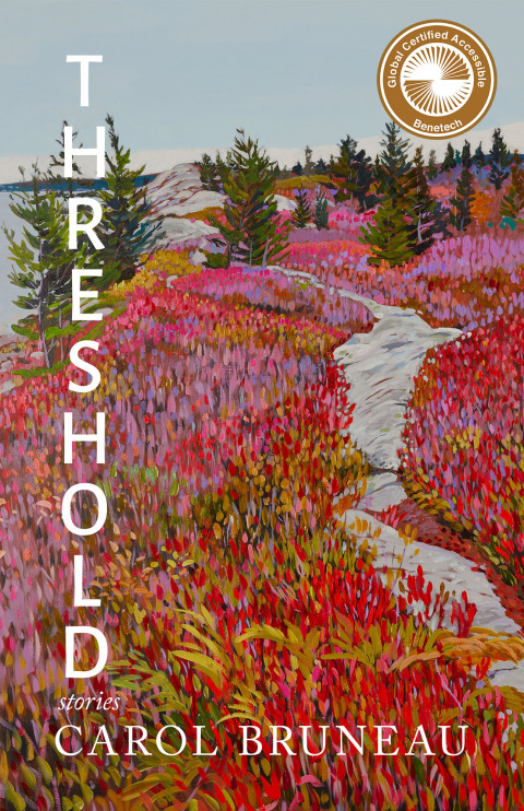 Cover image for book Threshold