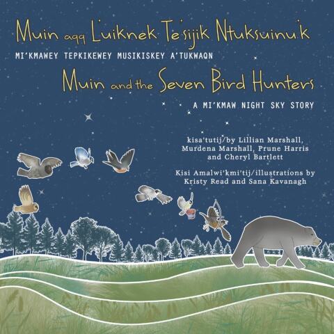 Cover image for book Muin and the Seven Bird Hunters