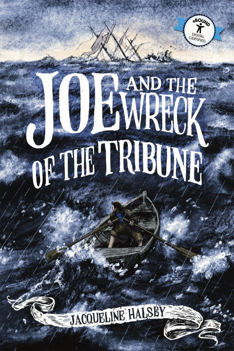 Cover image for book Joe & the Wreck of the Tribune