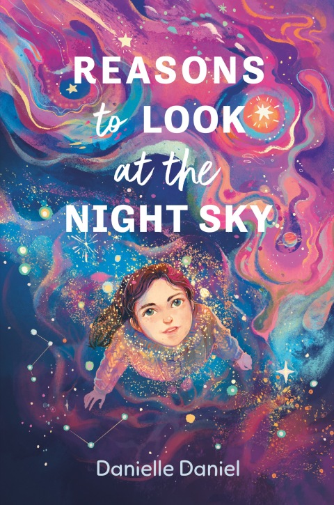 Cover image for book Reasons to Look at the Night Sky