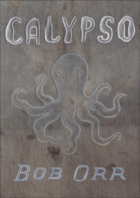 Cover image for book Calypso