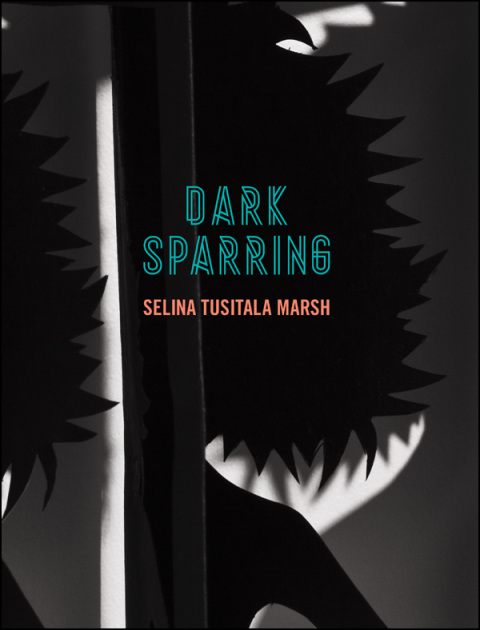 Cover image for book Dark Sparring