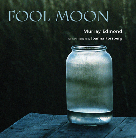 Cover image for book Fool Moon