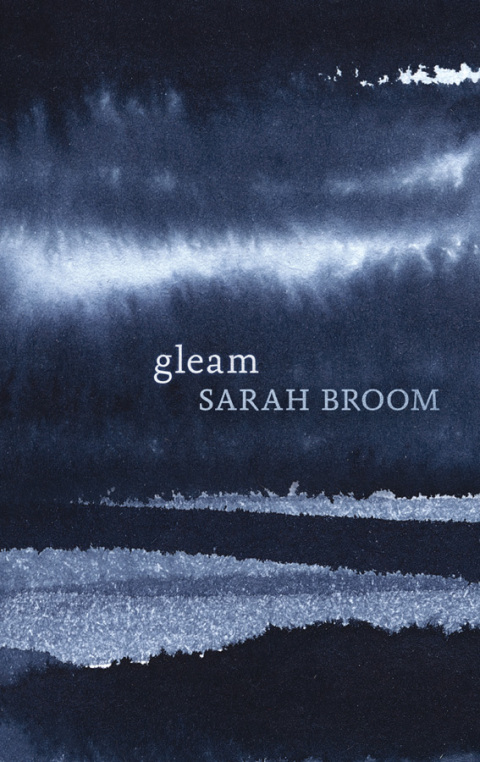 Cover image for book Gleam