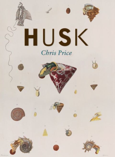 Cover image for book Husk