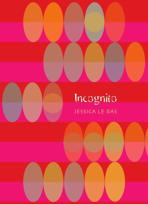 Cover image for book Incognito