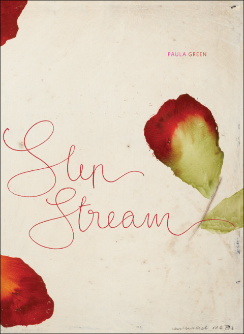 Cover image for book Slip Stream