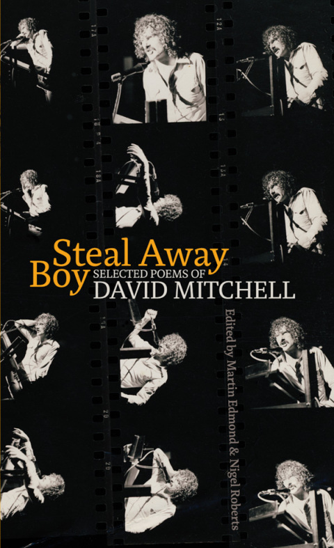 Cover image for book Steal Away Boy