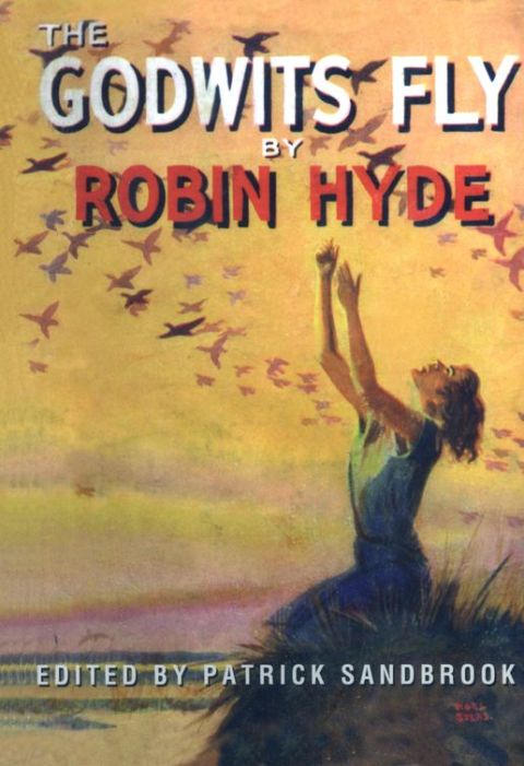 Cover image for book The Godwits Fly