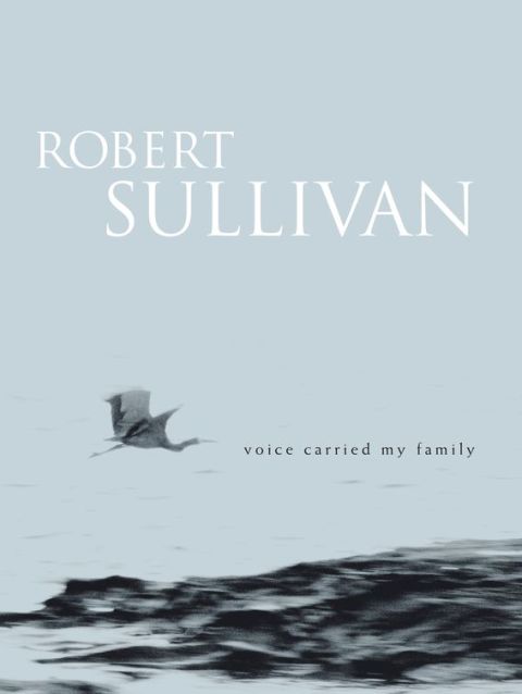 Cover image for book Voice Carried My Family