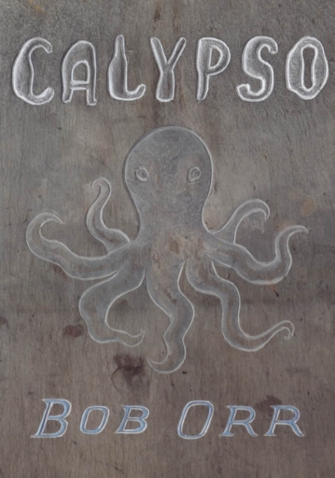 Cover image for book Calypso