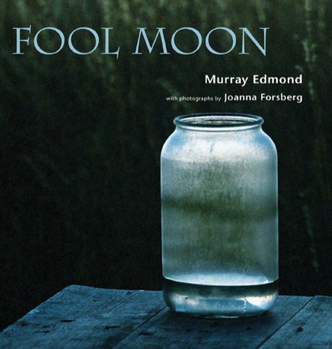 Cover image for book Fool Moon