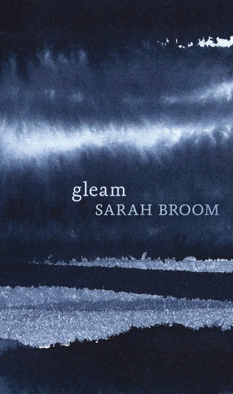 Cover image for book Gleam