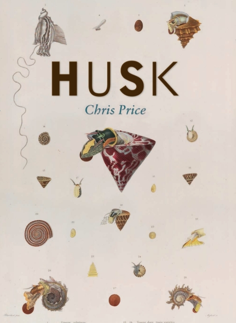 Cover image for book Husk