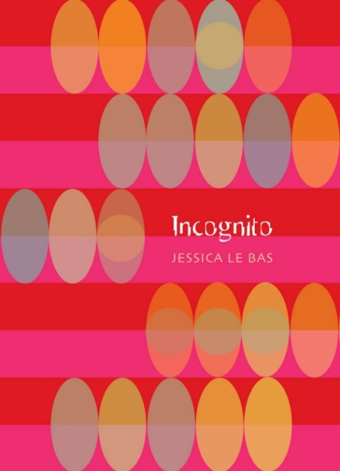 Cover image for book Incognito