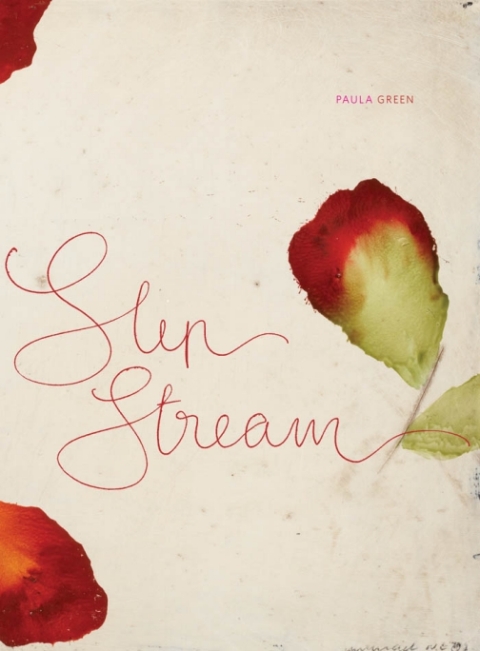 Cover image for book Slip Stream