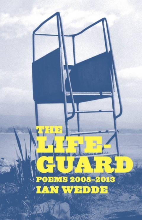 Cover image for book The Lifeguard