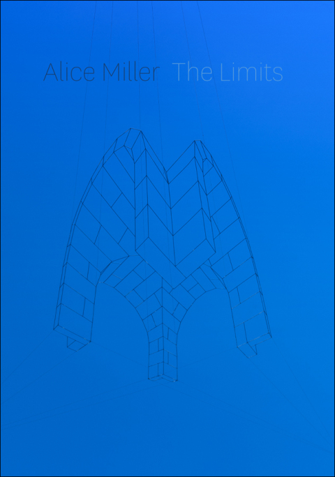 Cover image for book The Limits
