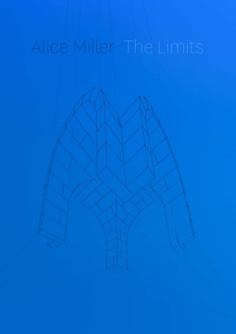 Cover image for book The Limits
