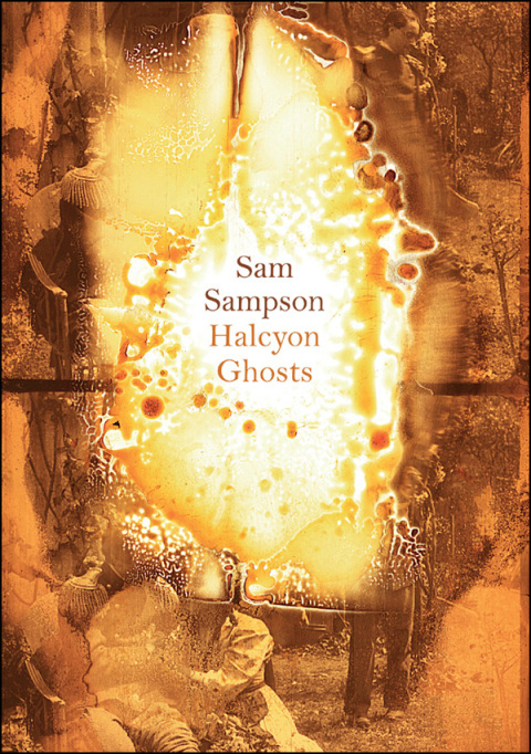 Cover image for book Halcyon Ghosts