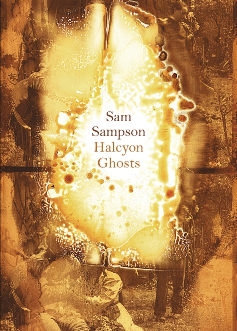 Cover image for book Halcyon Ghosts