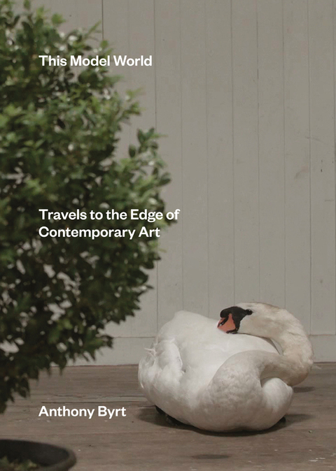 Cover image for book This Model World