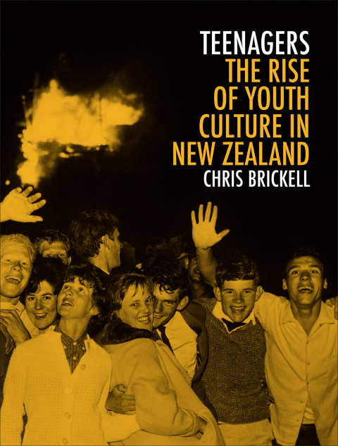 Cover image for book Teenagers