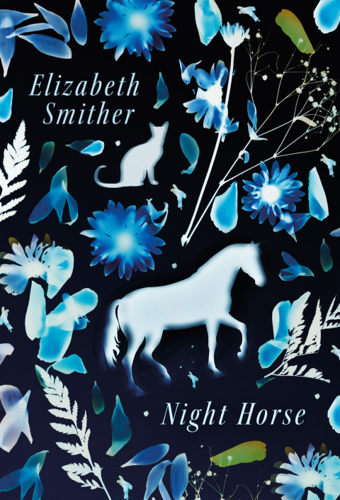 Cover image for book Night Horse