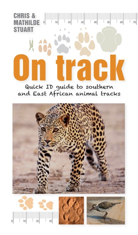 Cover image for book On Track